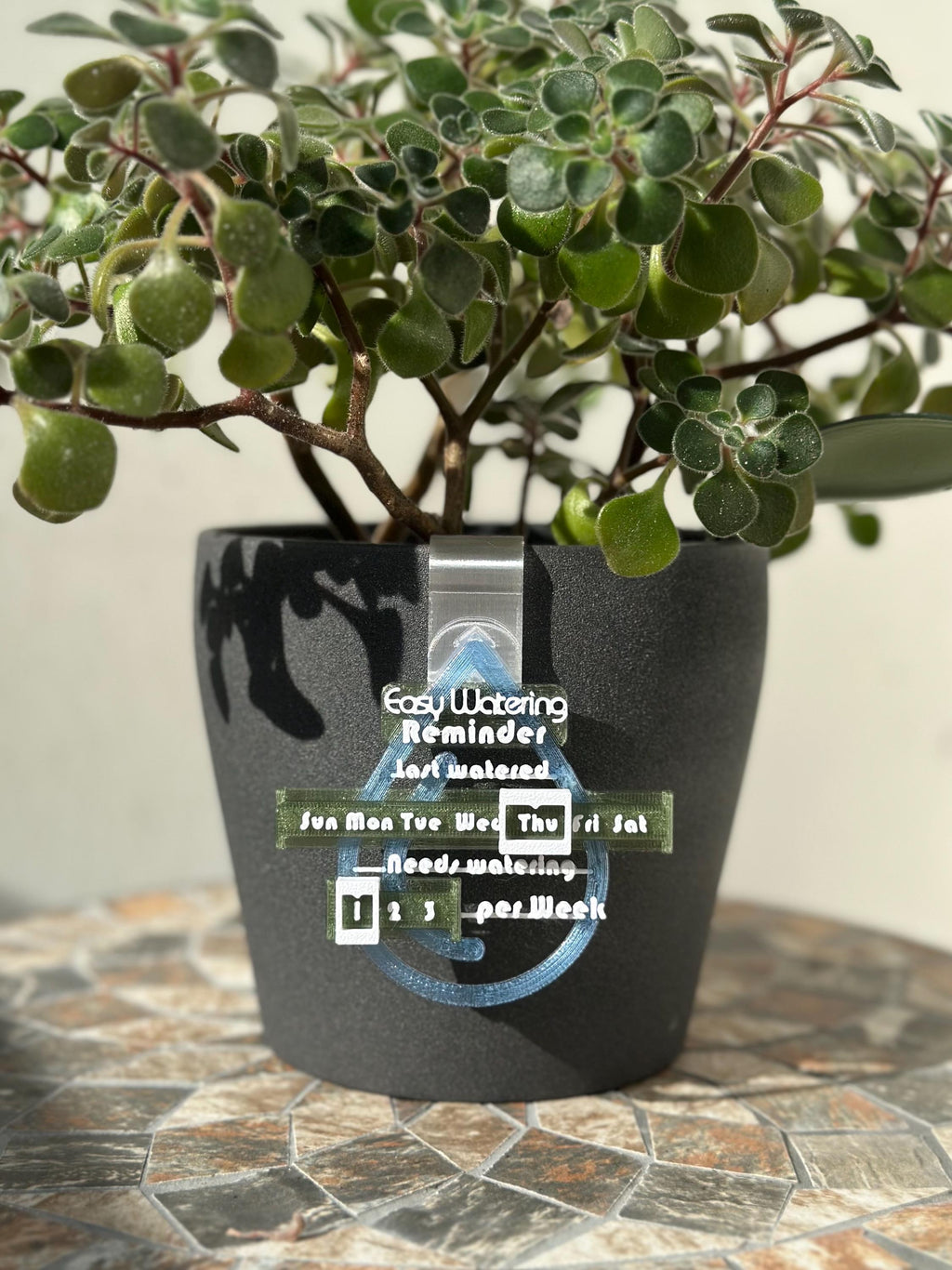 Vattna Enkelt - Påminnelse