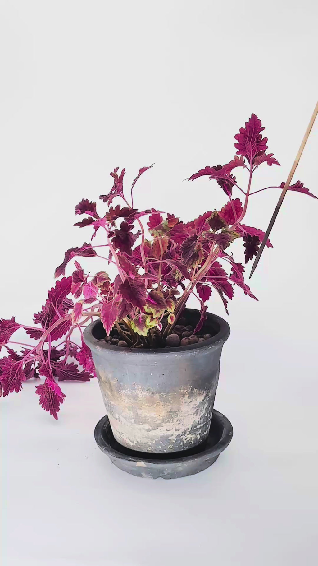 Vattna Enkelt - Krokar